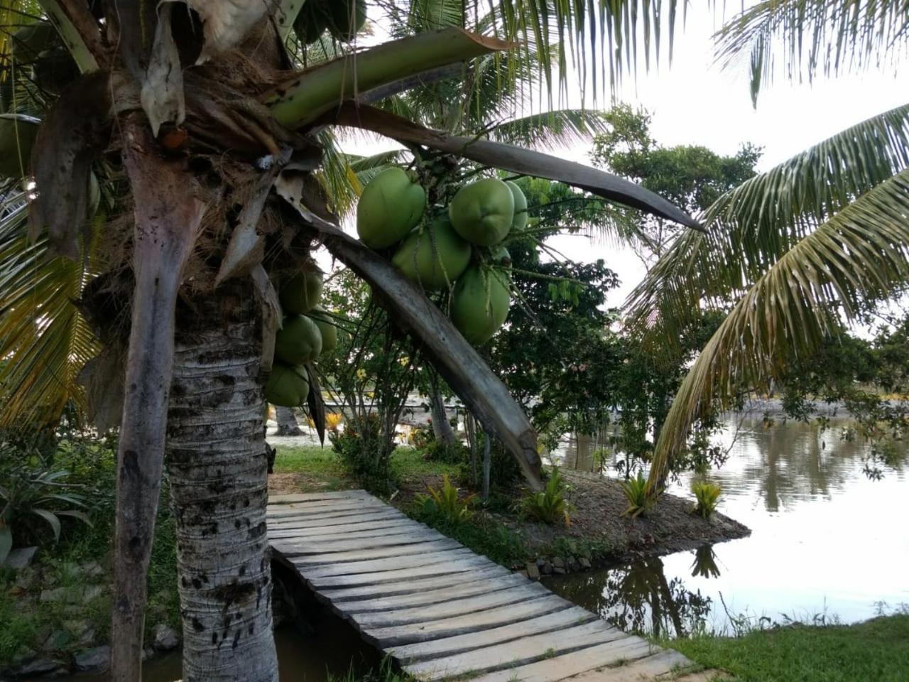 Residencial Lagoa Da Praia Alcobaça Exterior foto